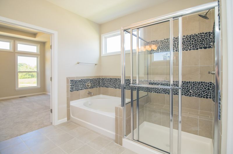 Contemporary Shower with Accent Tiles